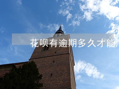 花呗有逾期多久才能淘宝买东西 花呗有逾期多久才能淘宝买东西