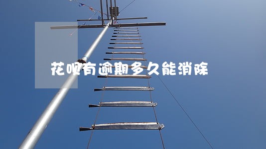 花呗有逾期多久能消除 花呗有逾期多久能消除