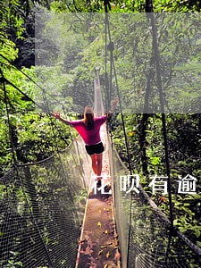 花呗有逾期已结清影响房贷吗