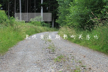 花呗有逾期影响买房吗 花呗有逾期影响买房吗