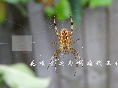 花呗有逾期影响找工作吗 花呗有逾期影响找工作吗