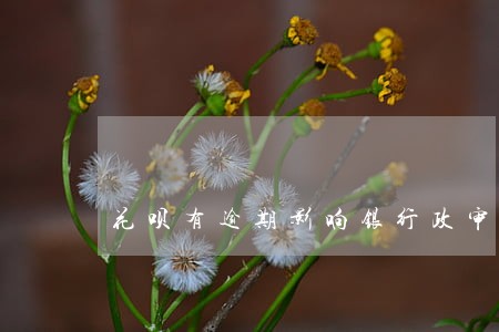 花呗有逾期影响银行政审吗 花呗有逾期影响银行政审吗