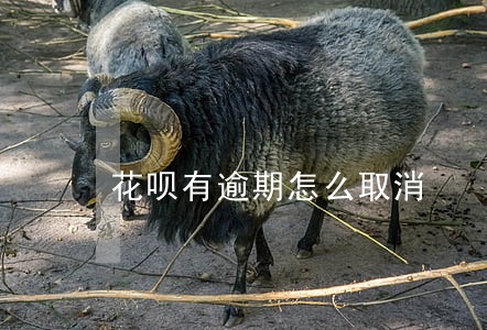花呗有逾期怎么取消 花呗有逾期怎么取消