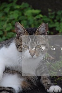 花呗有逾期怎么可以恢复 花呗有逾期怎么可以恢复