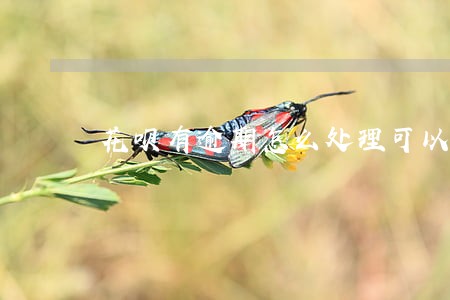 花呗有逾期怎么处理可以消除 花呗有逾期怎么处理可以消除