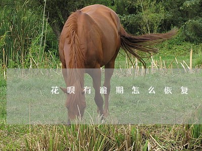 花呗有逾期怎么恢复 花呗有逾期怎么恢复
