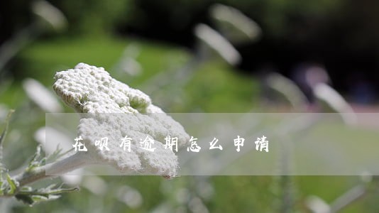 花呗有逾期怎么申请