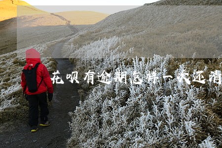 花呗有逾期怎样一次还清 花呗有逾期怎样一次还清