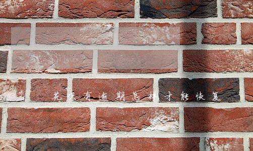 花呗有逾期怎样才能恢复 花呗有逾期怎样才能恢复
