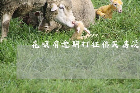 花呗有逾期打征信买房没事吧 花呗有逾期打征信买房没事吧