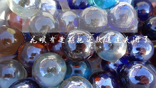 花呗有逾期把还款通道关闭了 花呗有逾期把还款通道关闭了