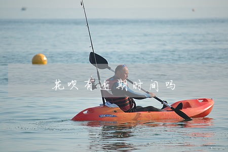 花呗有逾期时间吗 花呗有逾期时间吗