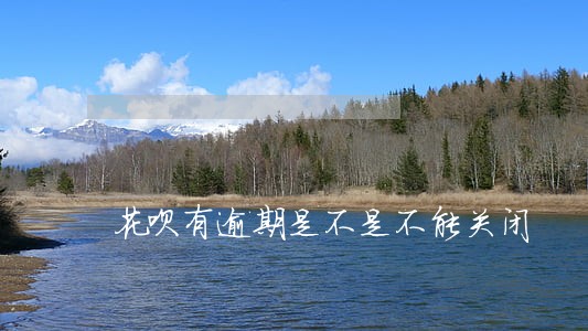 花呗有逾期是不是不能关闭