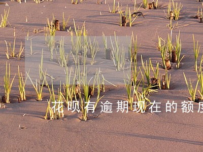 花呗有逾期现在的额度可以用吗 花呗有逾期现在的额度可以用吗