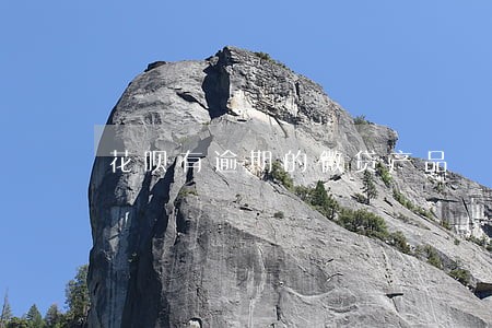 花呗有逾期的微贷产品 花呗有逾期的微贷产品