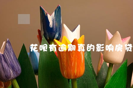 花呗有逾期真的影响房贷 花呗有逾期真的影响房贷