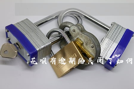 花呗有逾期给关闭了如何在开通 花呗有逾期给关闭了如何在开通