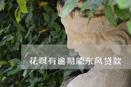 花呗有逾期能东风贷款 花呗有逾期能东风贷款