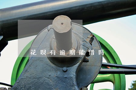 花呗有逾期能借吗