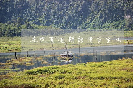 花呗有逾期能借贷宝吗 花呗有逾期能借贷宝吗