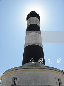 花呗有逾期能做担保人吗 花呗有逾期能做担保人吗