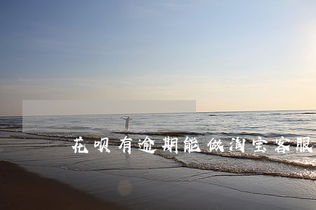 花呗有逾期能做淘宝客服吗 花呗有逾期能做淘宝客服吗