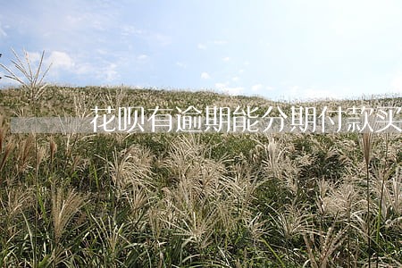花呗有逾期能分期付款买车吗 花呗有逾期能分期付款买车吗