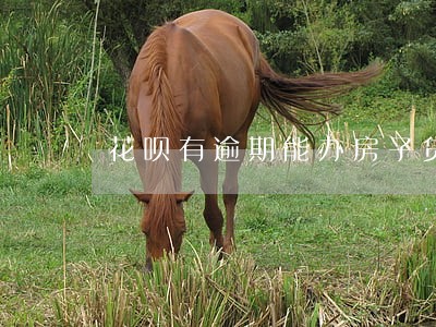 花呗有逾期能办房子贷款么 花呗有逾期能办房子贷款么