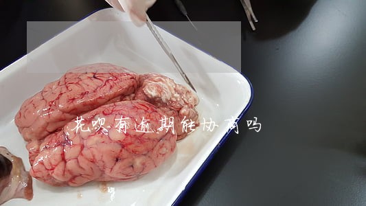 花呗有逾期能协商吗 花呗有逾期能协商吗