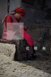 花呗有逾期能否买车票