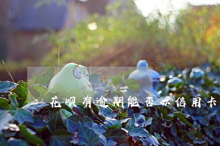 花呗有逾期能否办信用卡 花呗有逾期能否办信用卡