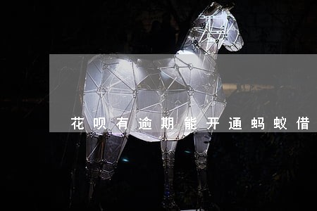 花呗有逾期能开通蚂蚁借呗吗 花呗有逾期能开通蚂蚁借呗吗