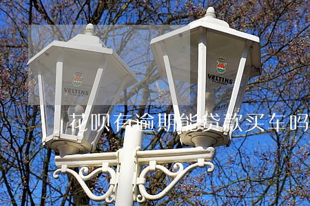 花呗有逾期能贷款买车吗 花呗有逾期能贷款买车吗