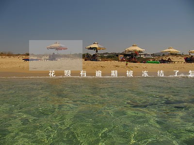 花呗有逾期被冻结了怎么办 花呗有逾期被冻结了怎么办