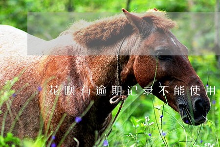 花呗有逾期记录不能使用 花呗有逾期记录不能使用