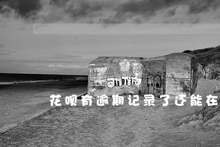 花呗有逾期记录了还能在用吗 花呗有逾期记录了还能在用吗
