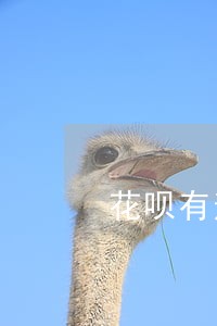 花呗有逾期记录关闭了