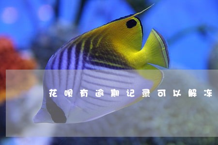 花呗有逾期记录可以解冻嘛 花呗有逾期记录可以解冻嘛