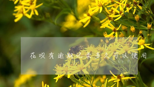 花呗有逾期记录多久可以使用 花呗有逾期记录多久可以使用