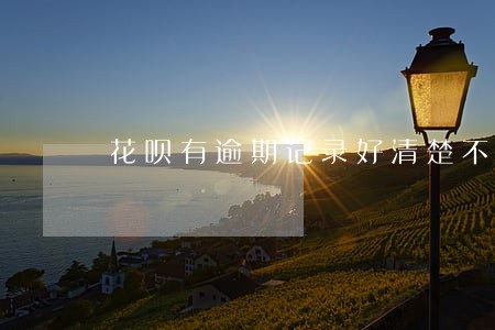 花呗有逾期记录好清楚不 花呗有逾期记录好清楚不