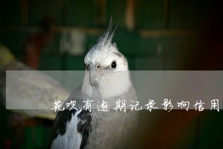 花呗有逾期记录影响信用吗 花呗有逾期记录影响信用吗