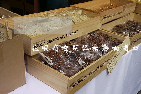 花呗有逾期记录影响考公务员吗 花呗有逾期记录影响考公务员吗