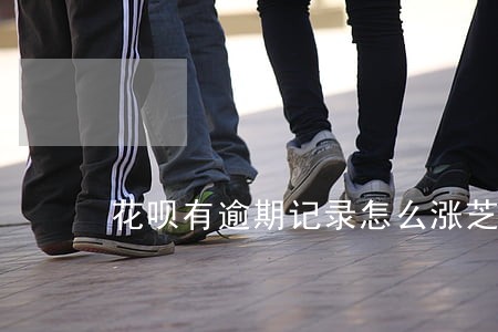 花呗有逾期记录怎么涨芝麻分 花呗有逾期记录怎么涨芝麻分