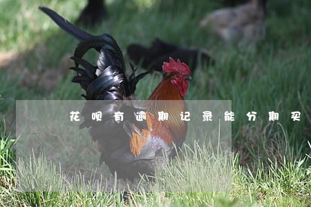 花呗有逾期记录能分期买手机吗 花呗有逾期记录能分期买手机吗