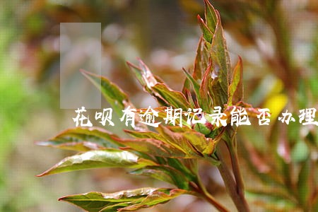 花呗有逾期记录能否办理车贷 花呗有逾期记录能否办理车贷