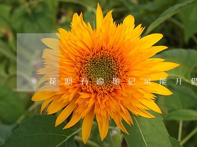 花呗有逾期记录能开借呗吗 花呗有逾期记录能开借呗吗