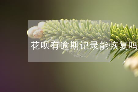 花呗有逾期记录能恢复吗 花呗有逾期记录能恢复吗