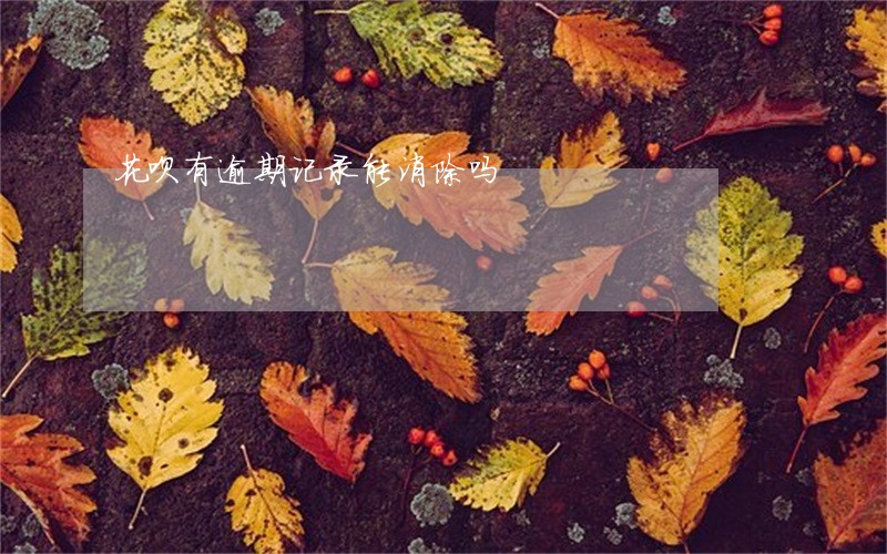 花呗有逾期记录能消除吗 花呗有逾期记录能消除吗