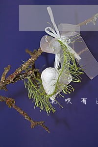 花呗有逾期记录还会涨花吗 花呗有逾期记录还会涨花吗