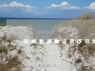 花呗有逾期记录还可以贷款吗 花呗有逾期记录还可以贷款吗